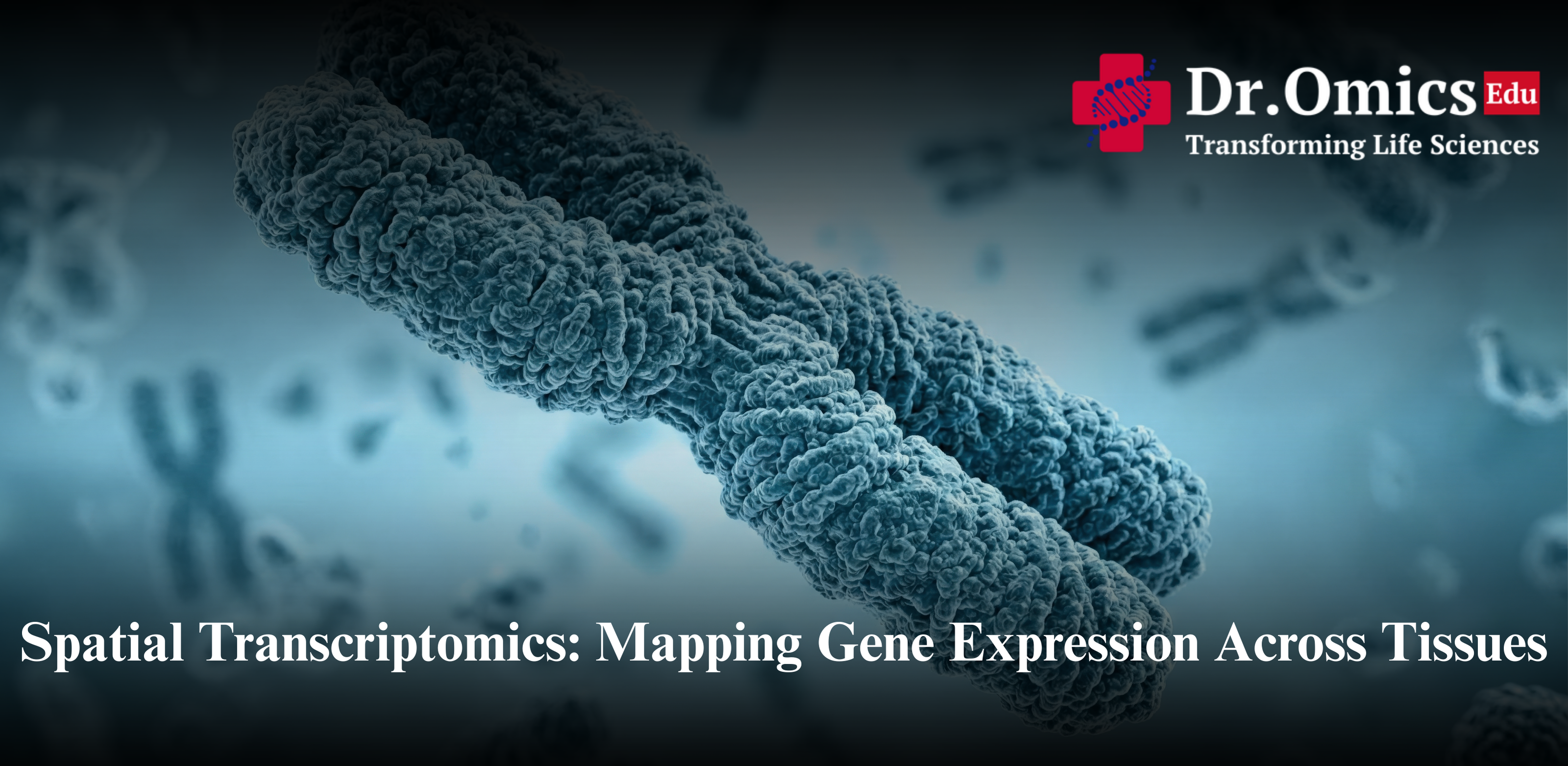 Spatial Transcriptomics: Mapping Gene Expression Across Tissues