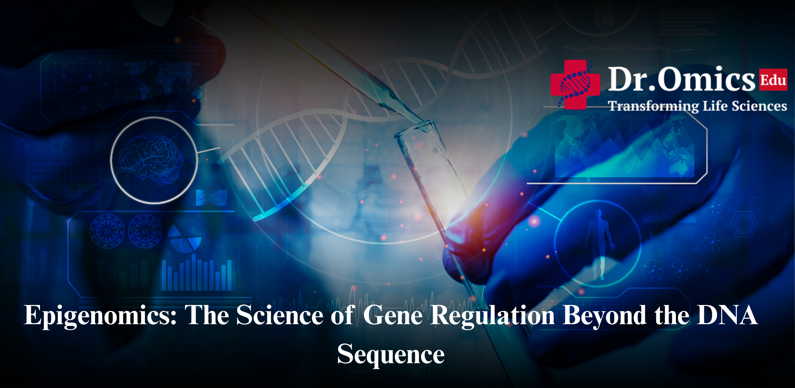 Epigenomics: The Science of Gene Regulation Beyond the DNA Sequence
