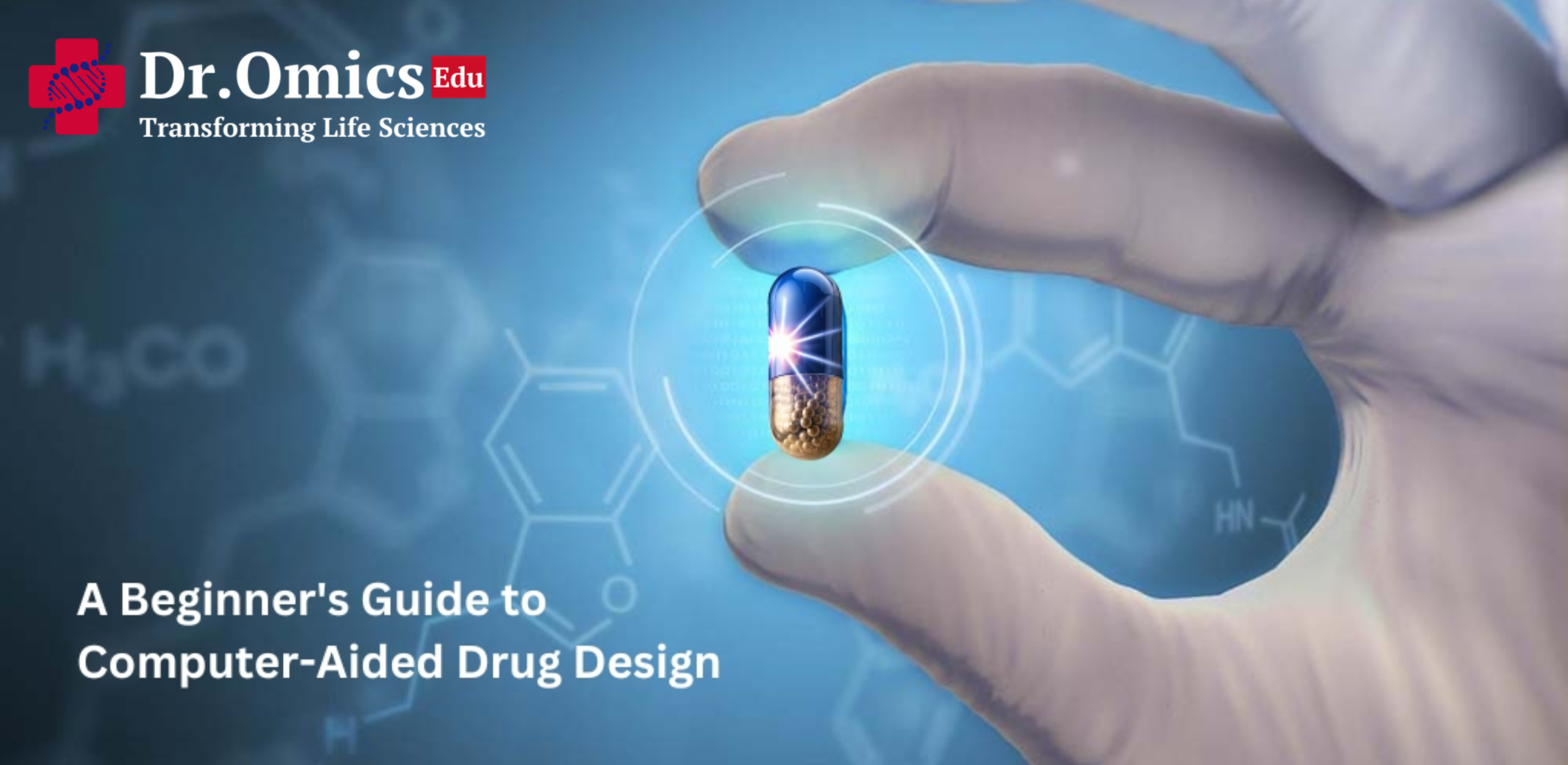 A Beginner's Guide to Computer-Aided Drug Design