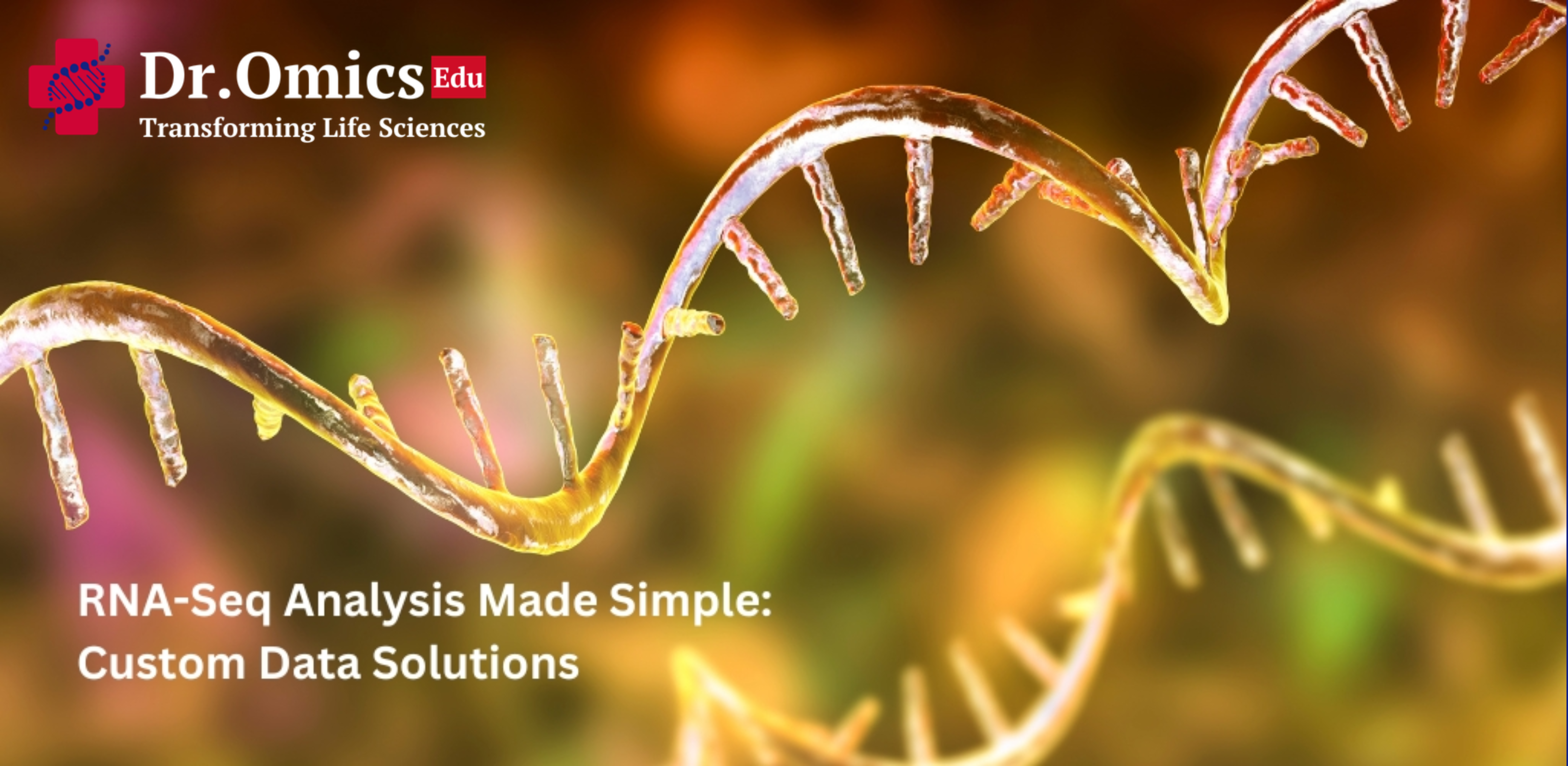 RNA-Seq Analysis Made Simple: Custom Data Solutions