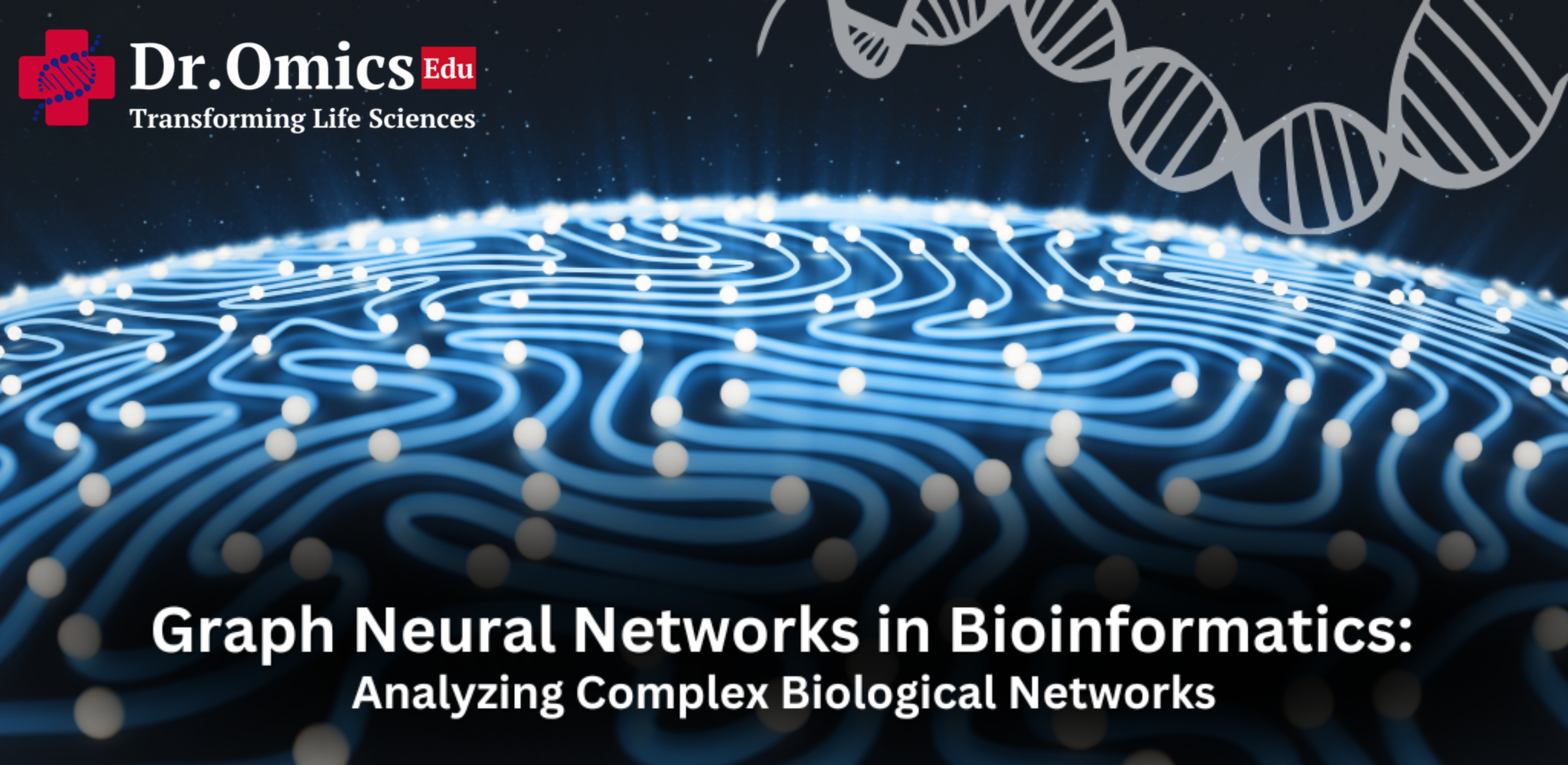 Graph Neural Networks in Bioinformatics: Analyzing Complex Biological Networks