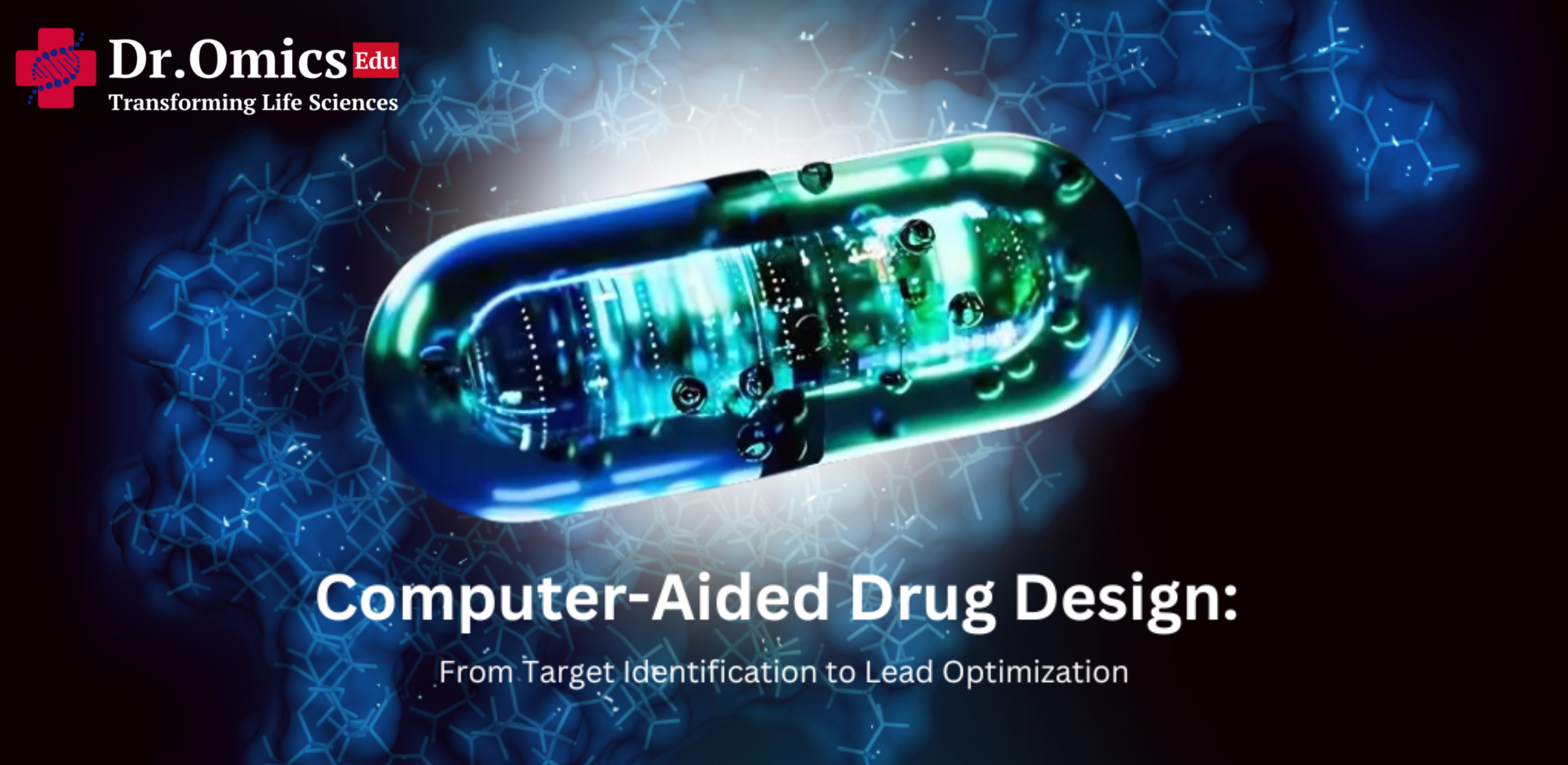 Computer-Aided Drug Design: From Target Identification to Lead Optimization