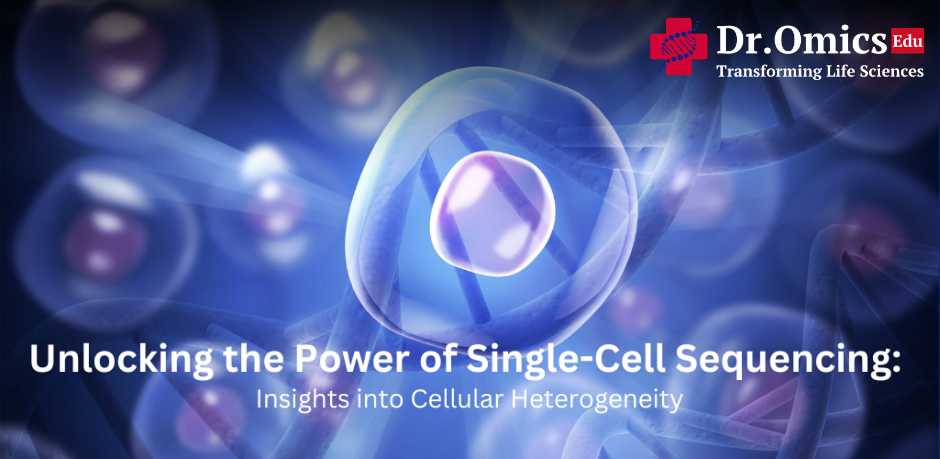 Unlocking the Power of Single-Cell Sequencing: Insights into Cellular Heterogeneity
