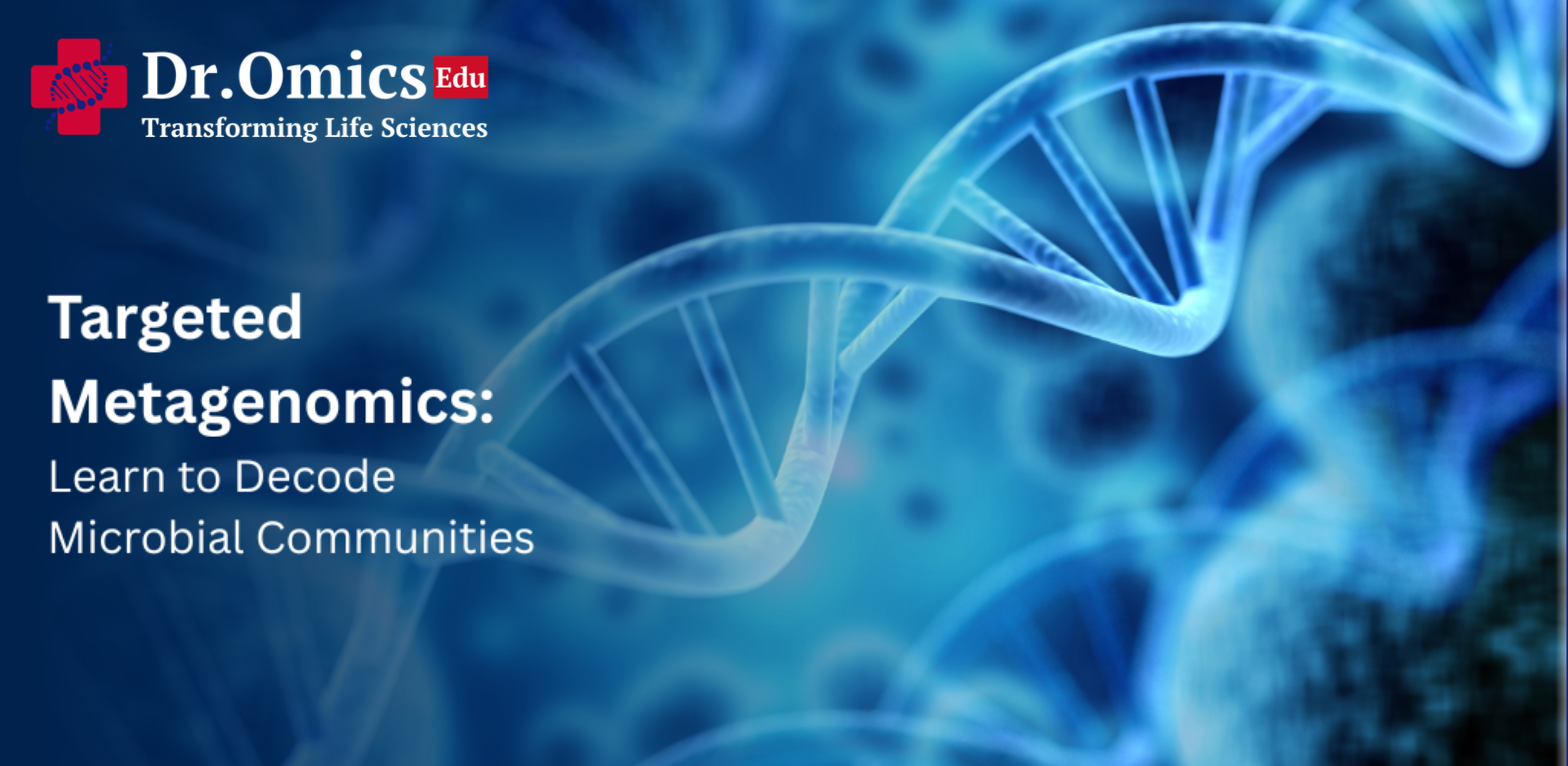 Targeted Metagenomics: Learn to Decode Microbial Communities