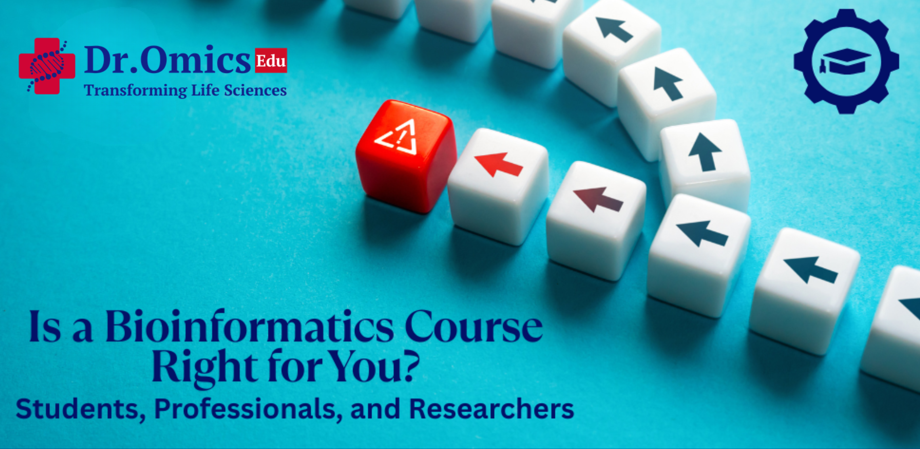 Is a Bioinformatics Course Right for You? Students, Professionals, and Researchers