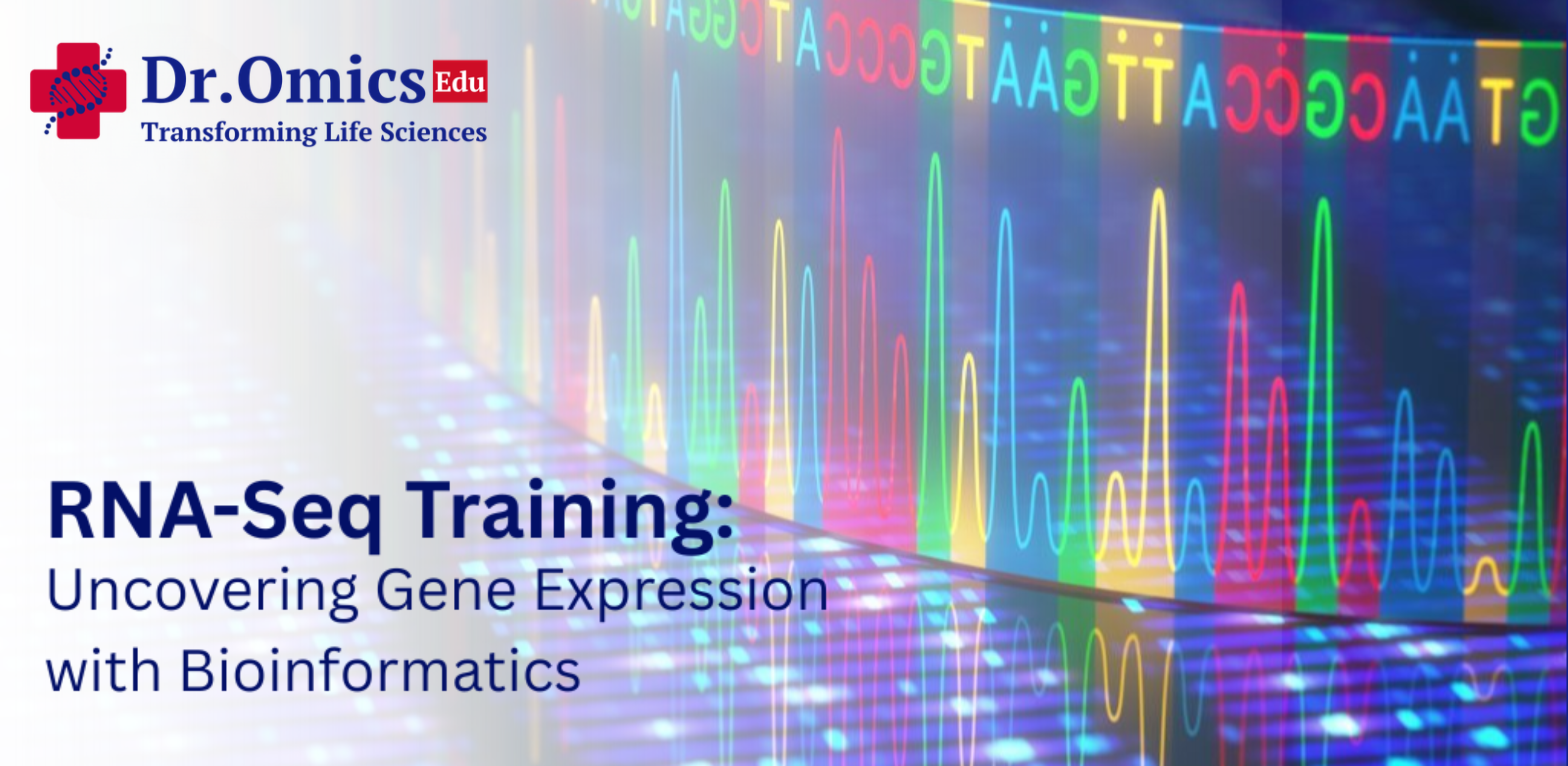 RNA-Seq Training: Uncovering Gene Expression with Bioinformatics