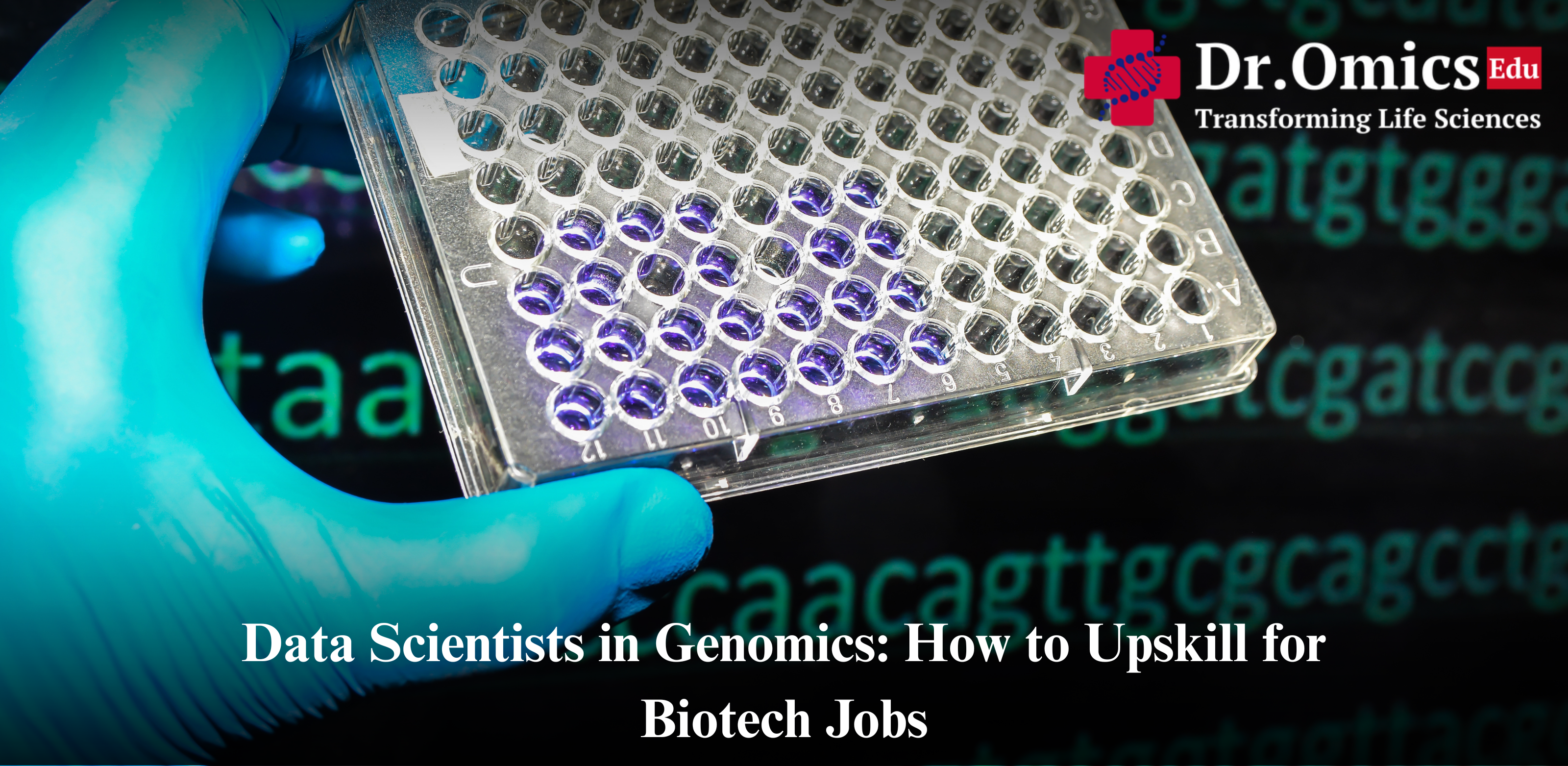 Data Scientists in Genomics: How to Upskill for Biotech Jobs