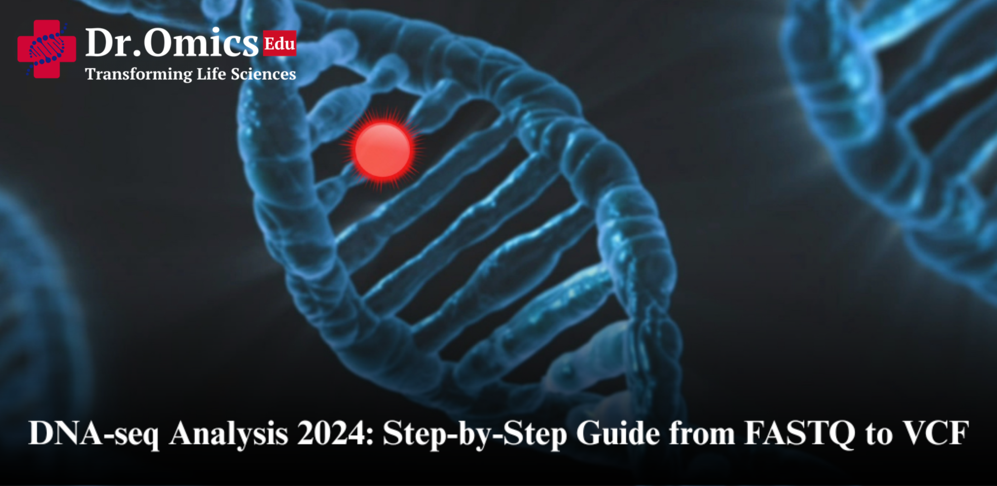 DNA-seq Analysis 2024: Step-by-Step Guide from FASTQ to VCF