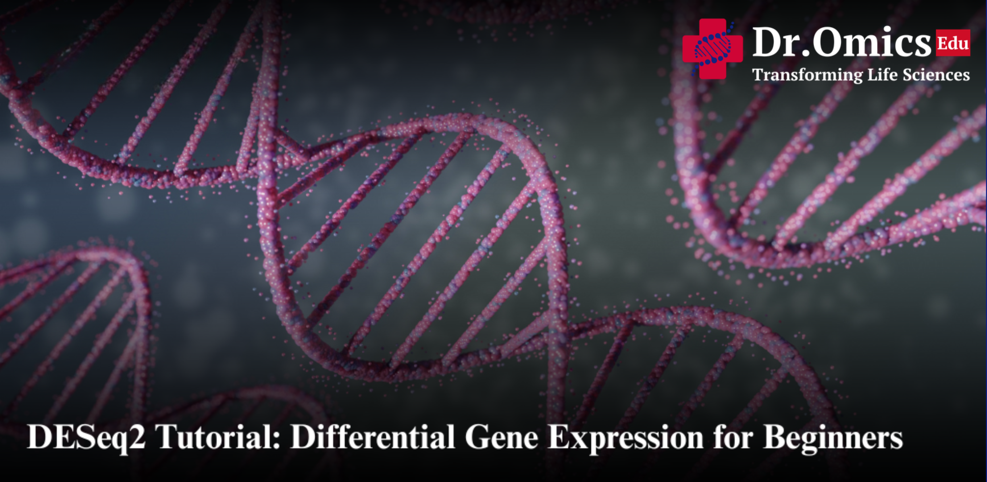 DESeq2 Tutorial: Differential Gene Expression for Beginners