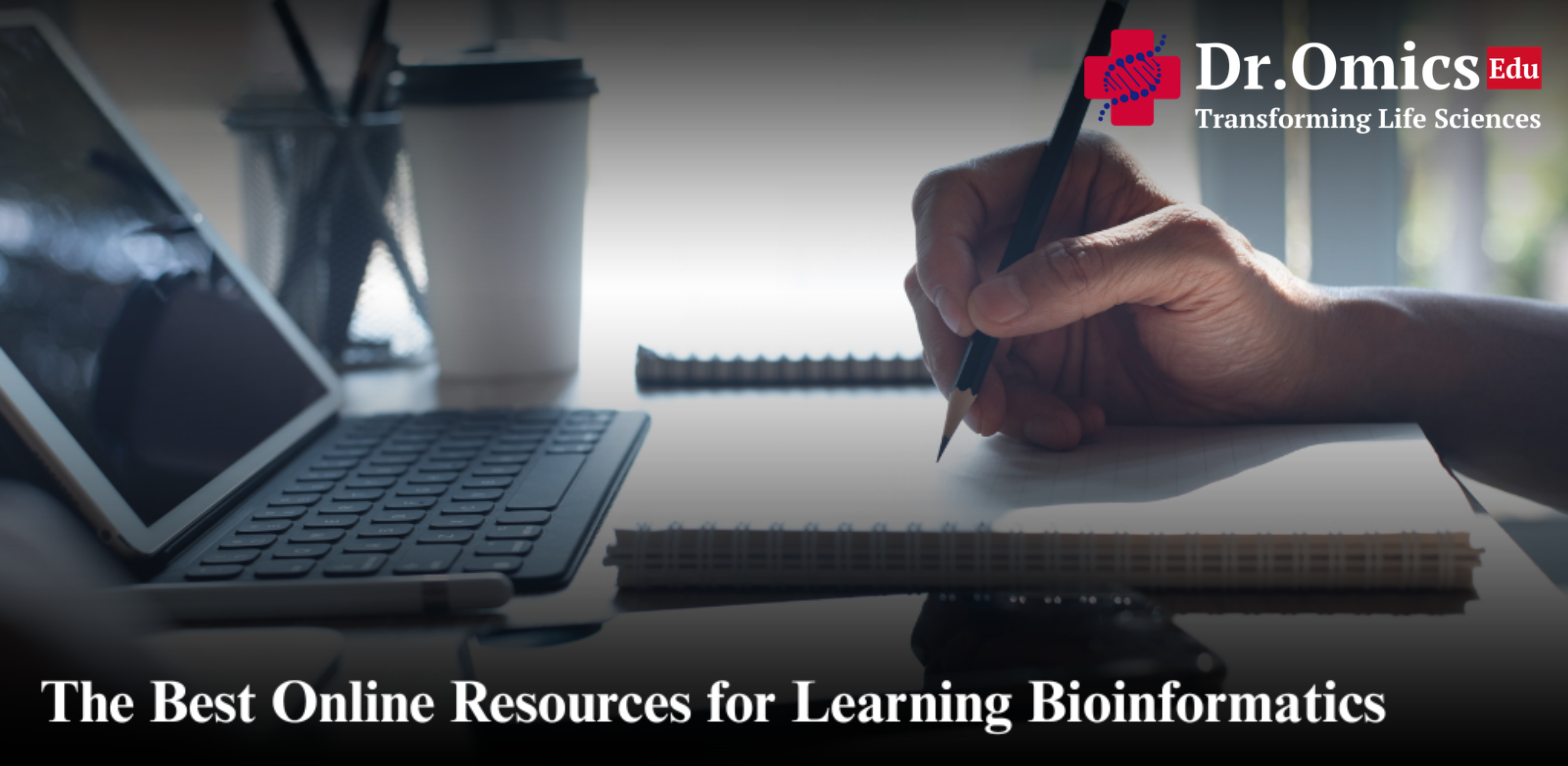 The Best Online Resources for Learning Bioinformatics