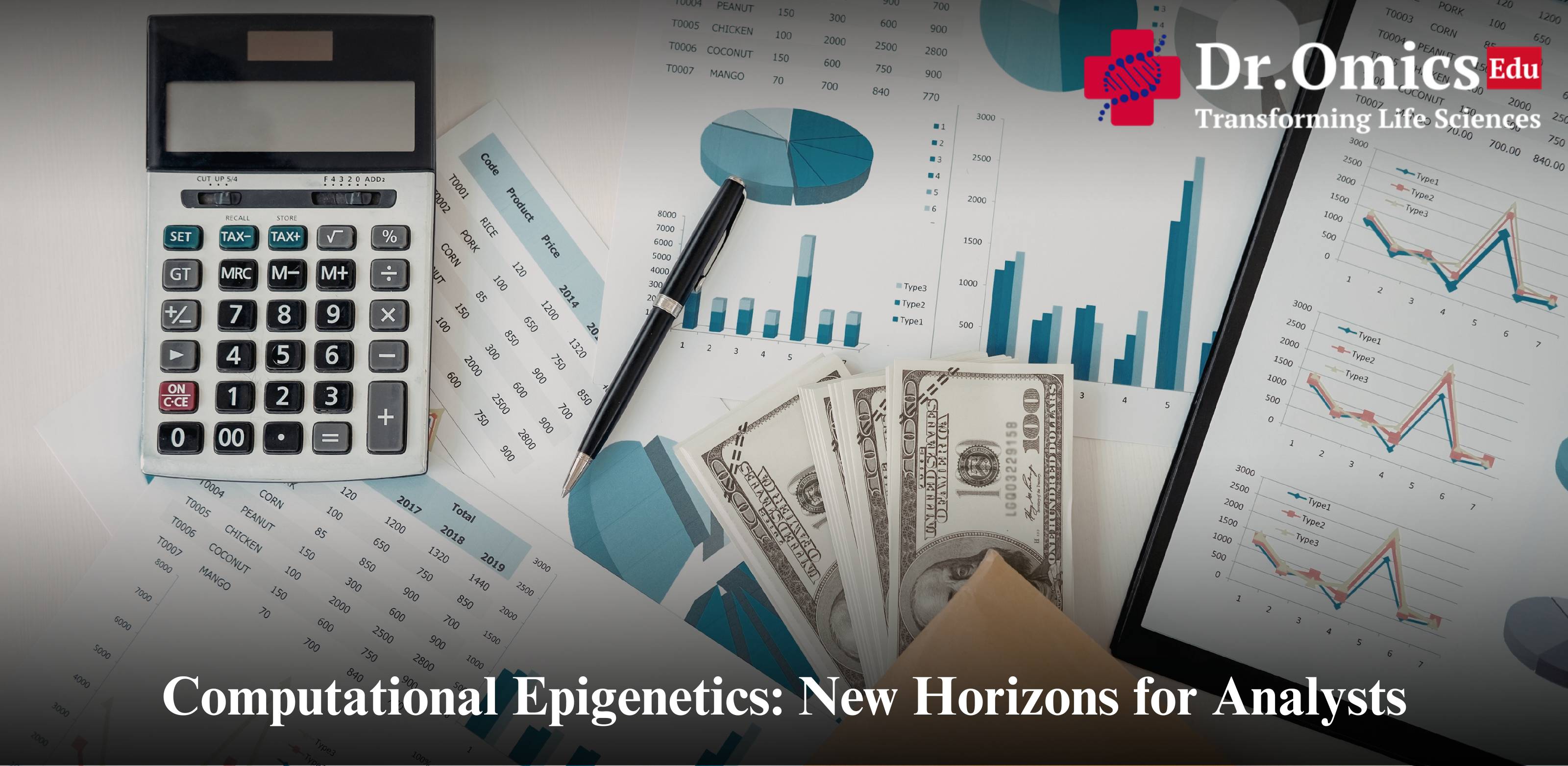 Computational Epigenetics: New Horizons for Analysts