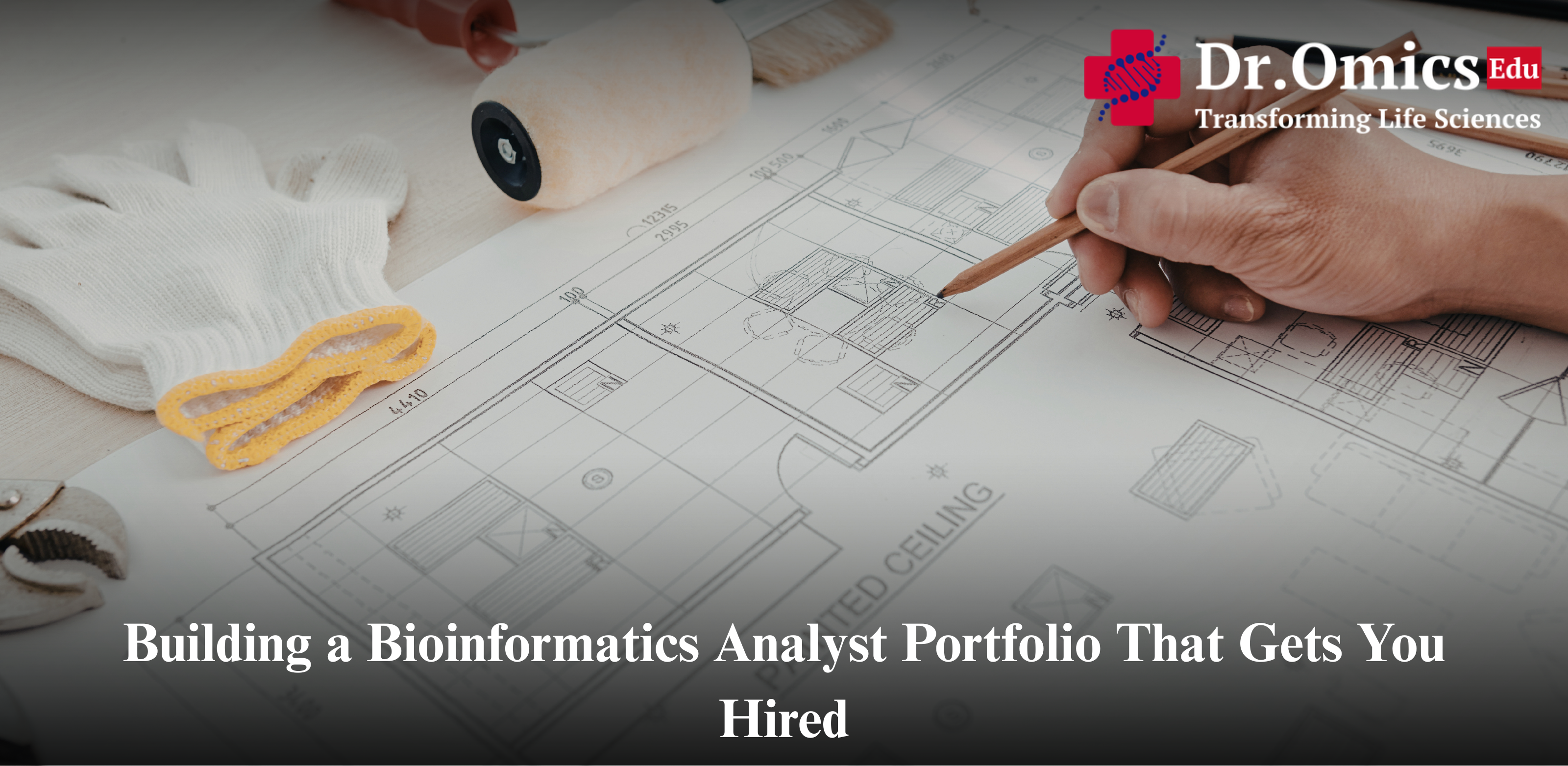Building a Bioinformatics Analyst Portfolio That Gets You Hired