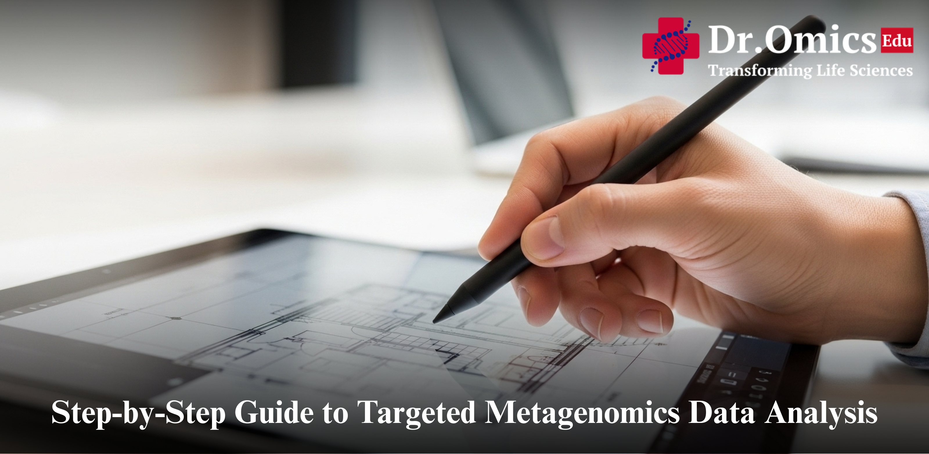 Step-by-Step Guide to Targeted Metagenomics Data Analysis