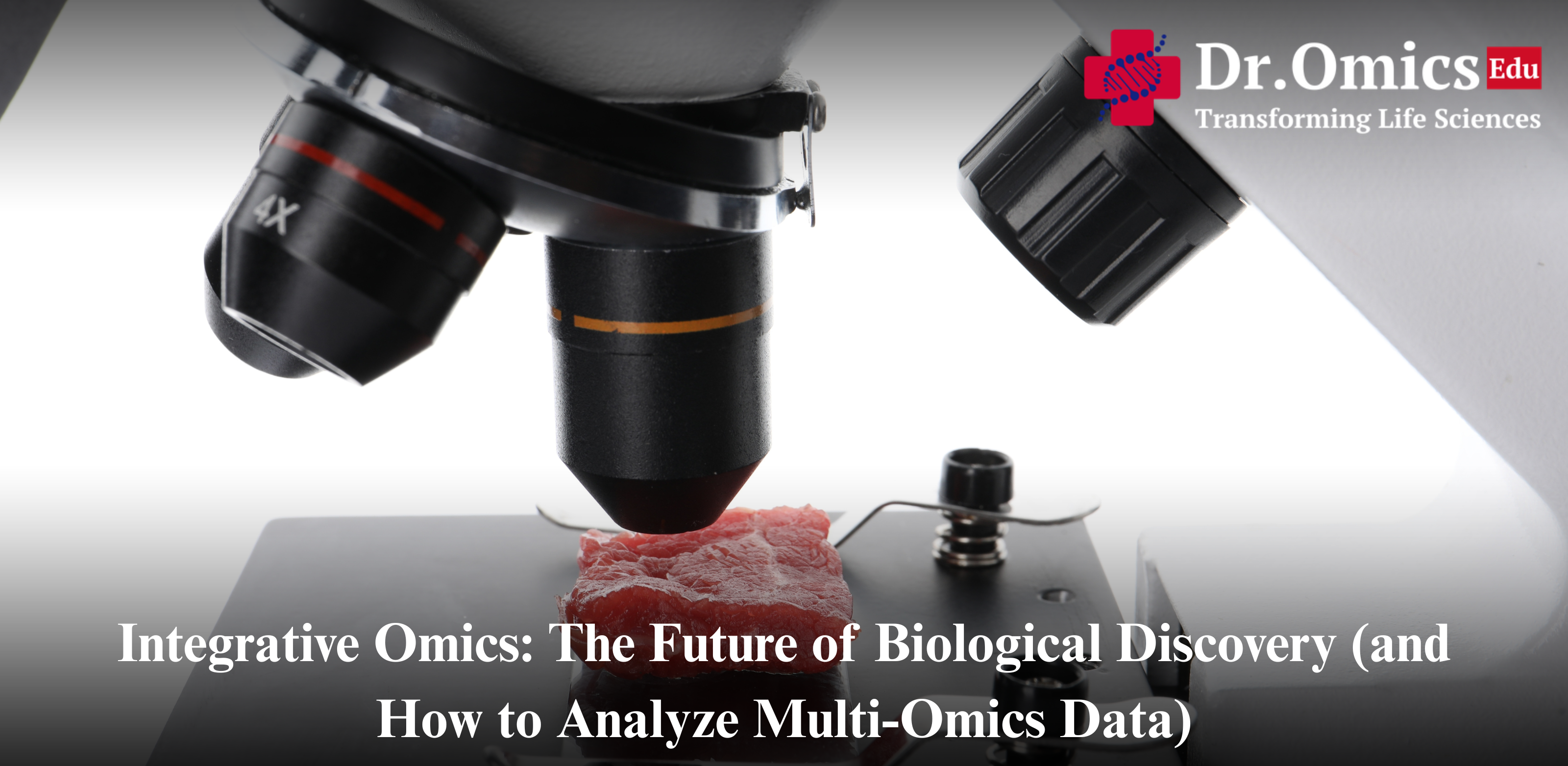 Integrative Omics: The Future of Biological Discovery (and How to Analyze Multi-Omics Data)