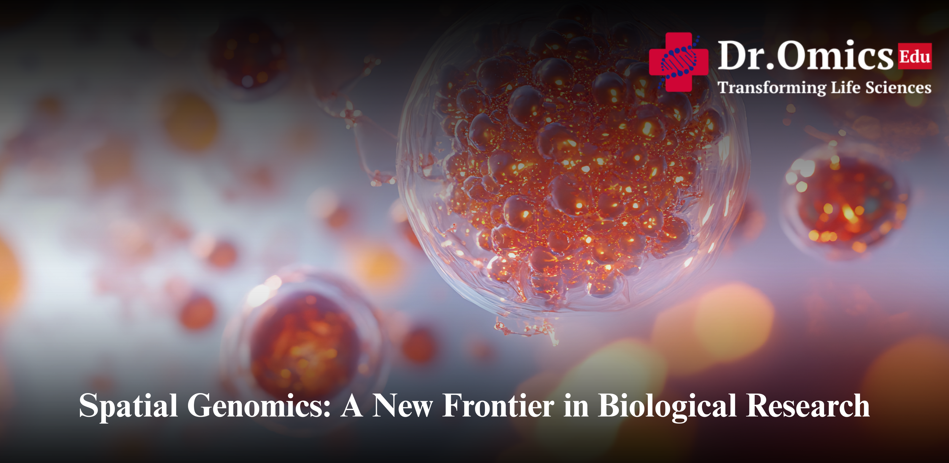 Spatial Genomics: A New Frontier in Biological Research