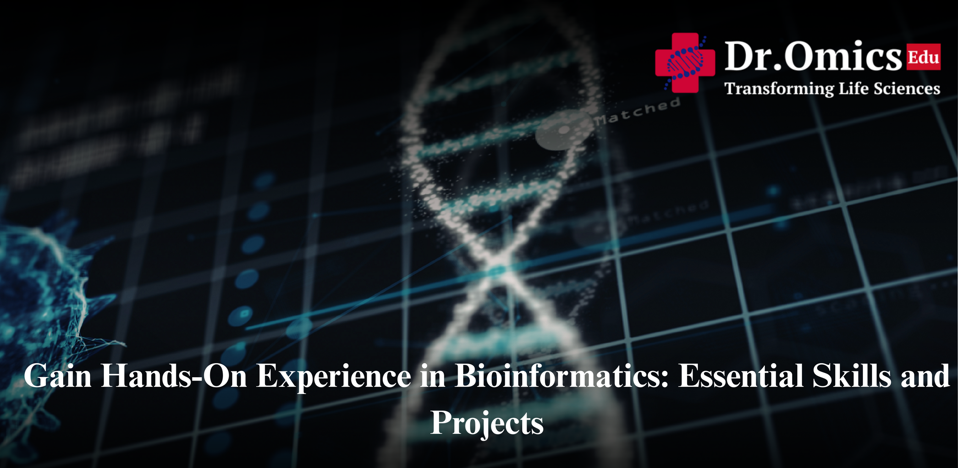 Gain Hands-On Experience in Bioinformatics: Essential Skills and Projects