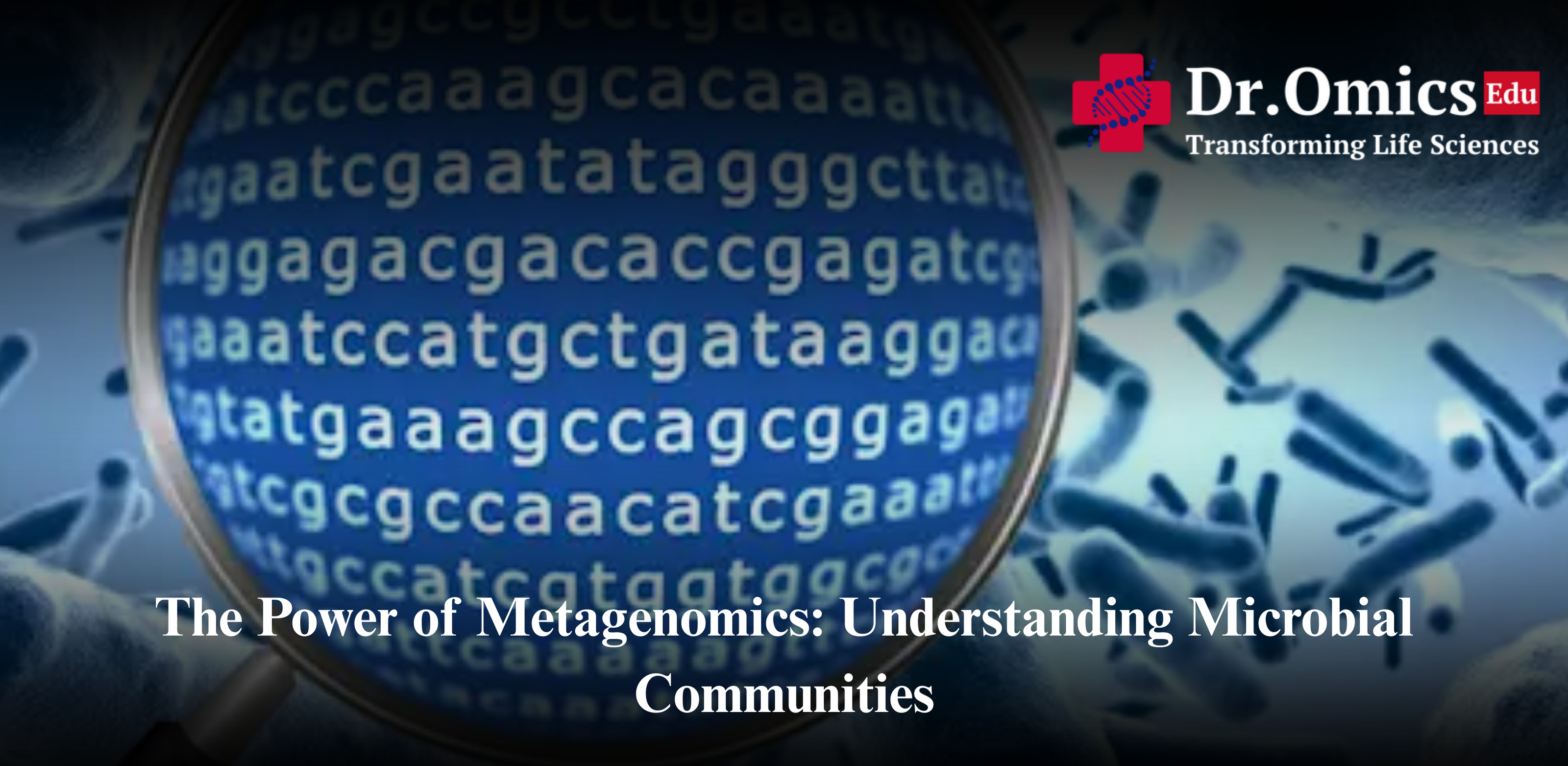 The Power of Metagenomics: Understanding Microbial Communities