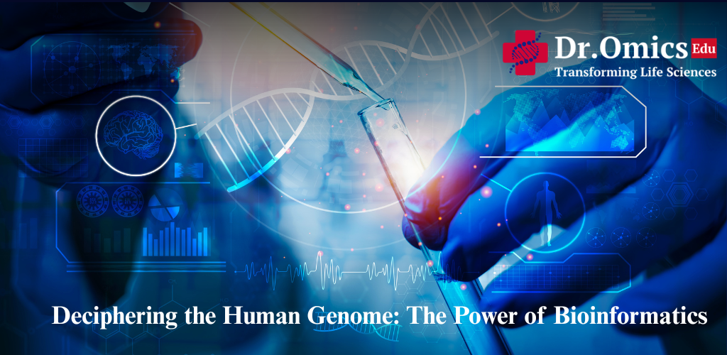Deciphering the Human Genome: The Power of Bioinformatics