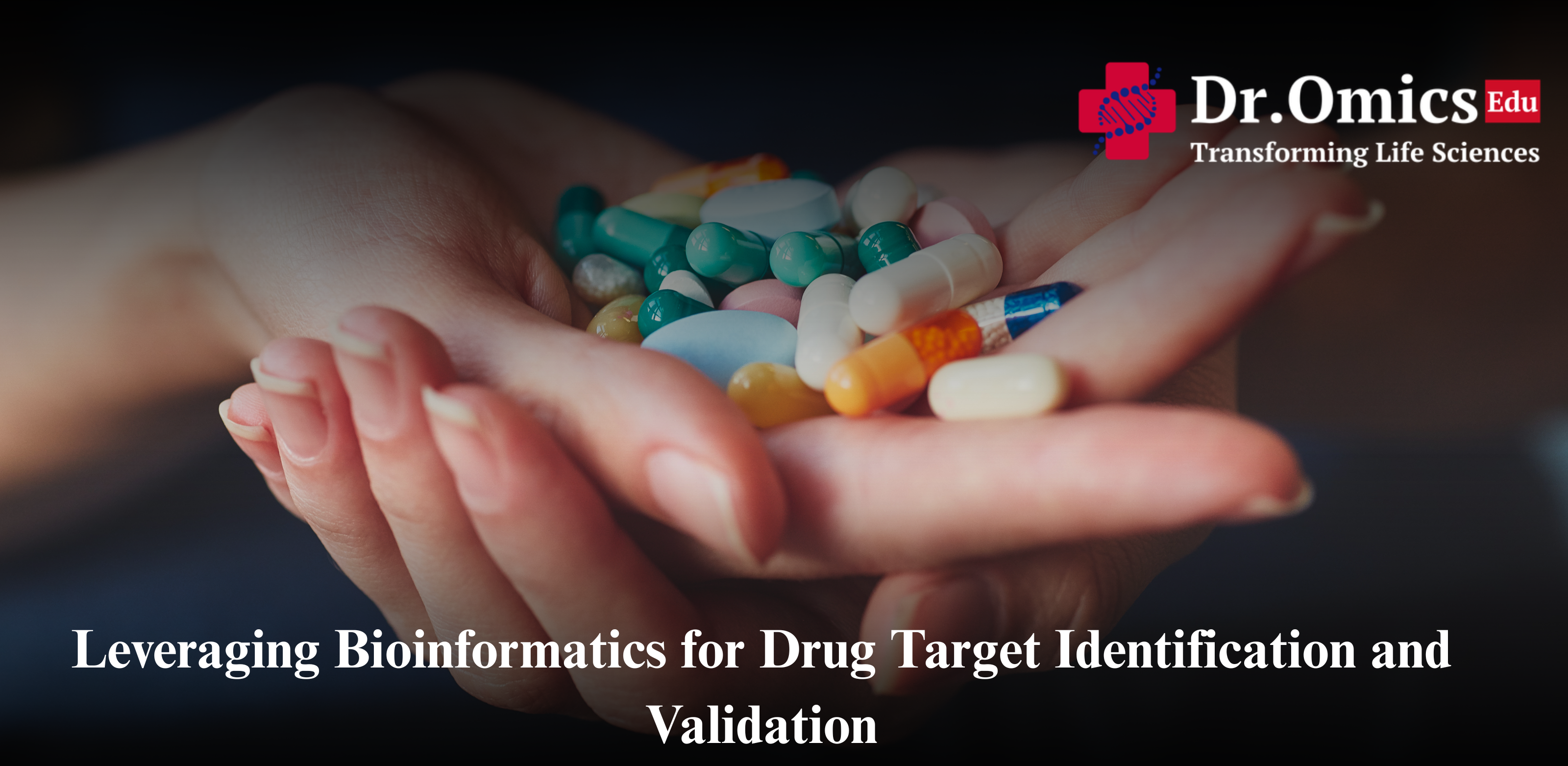 Leveraging Bioinformatics for Drug Target Identification and Validation