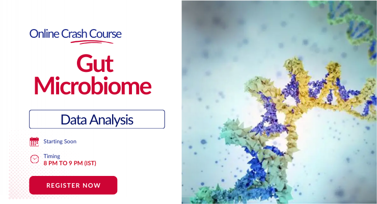 Gut Microbiome Crash Course