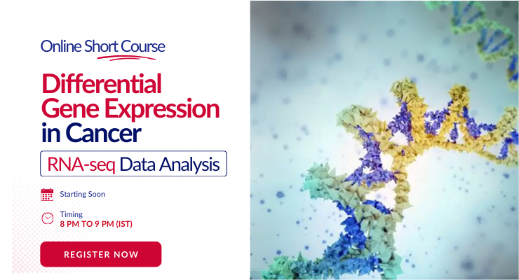 Differential Gene Expression in Cancer: RNA-seq Data Analysis
