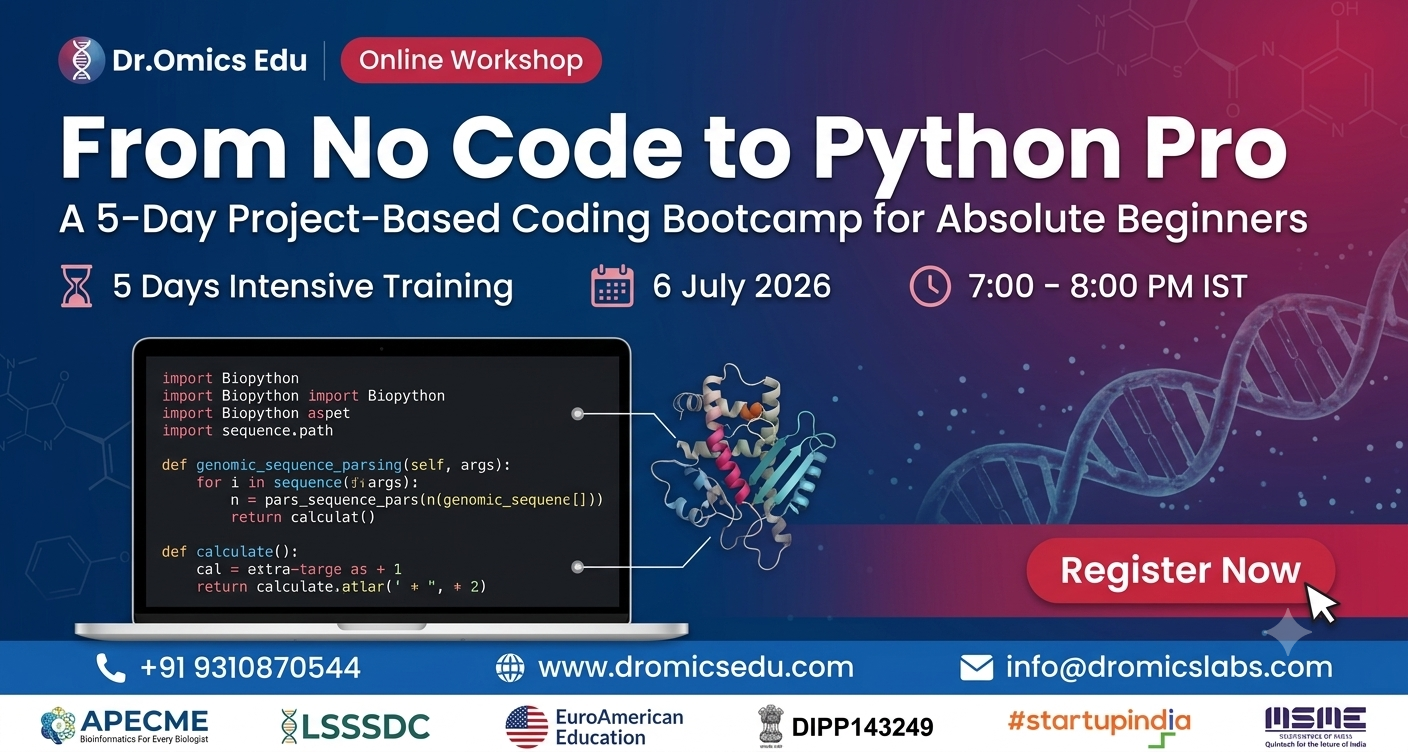 From No Code to Python Pro: A Beginner's Workshop
