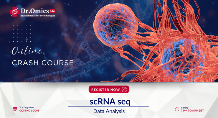 scRNA seq Data Analysis