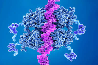 Chip Seq Data Analysis