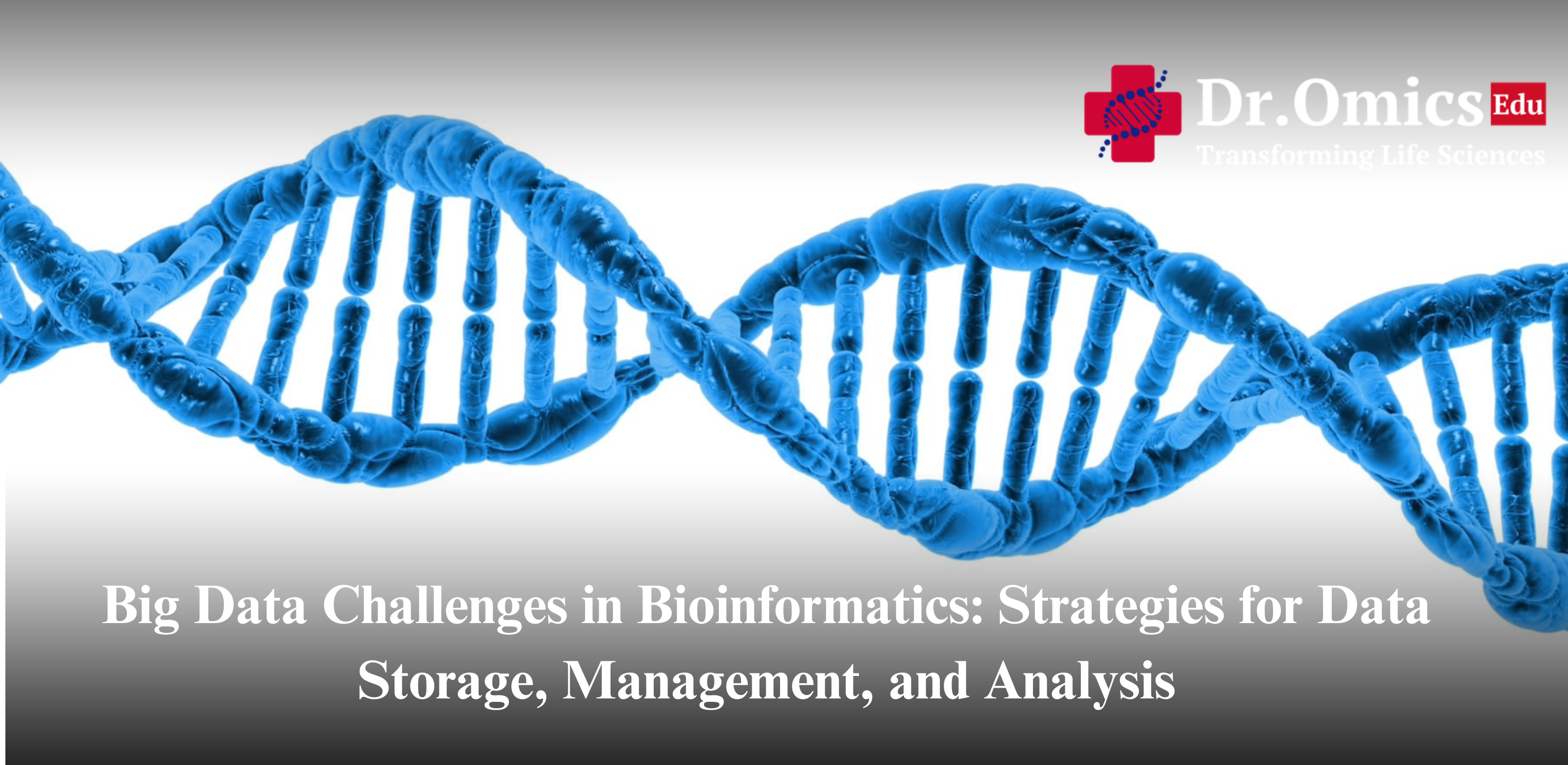 Big Data Challenges in Bioinformatics: Strategies for Data Storage, Management, and Analysis