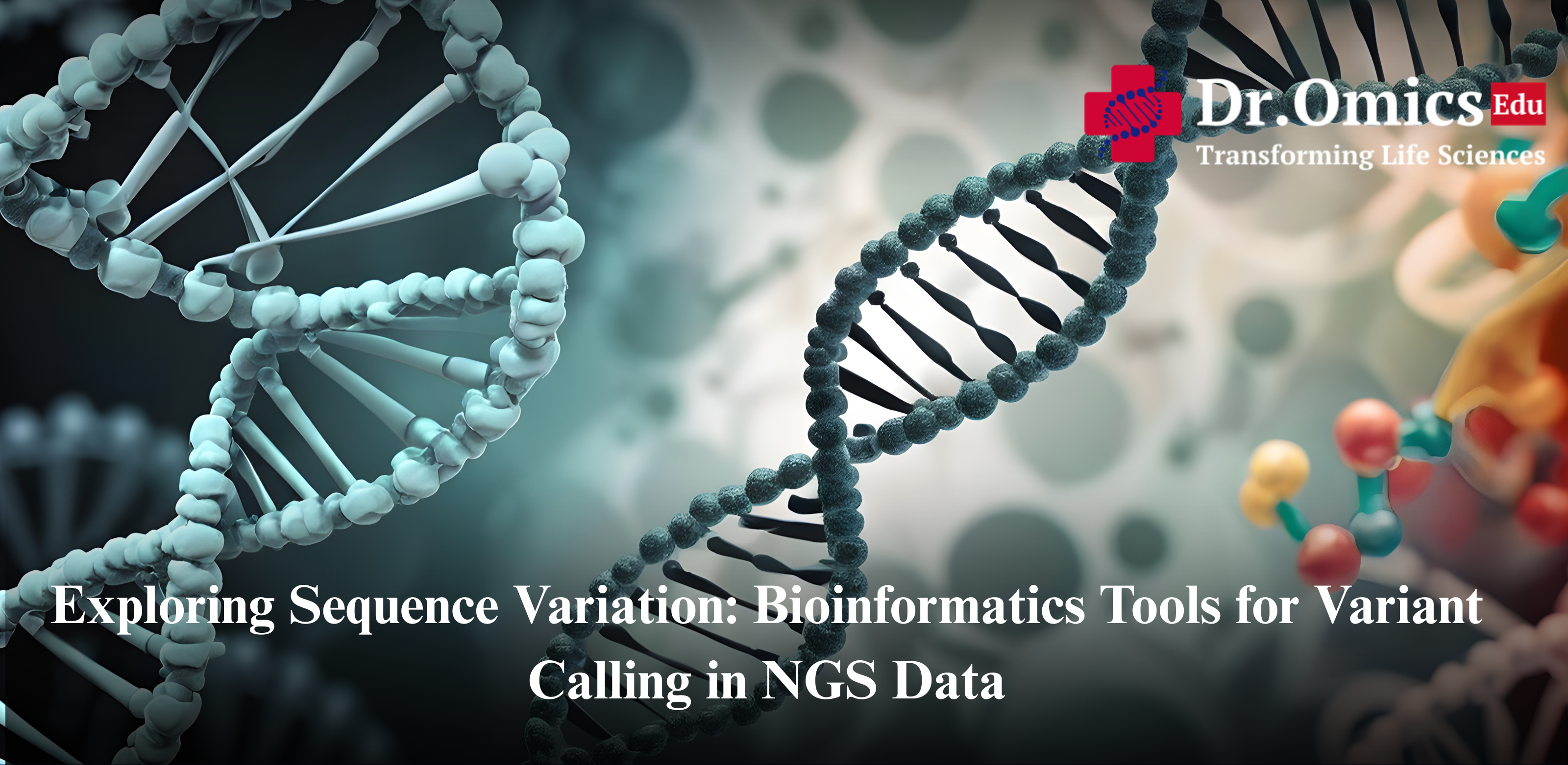 Exploring Sequence Variation: Bioinformatics Tools for Variant Calling in NGS Data